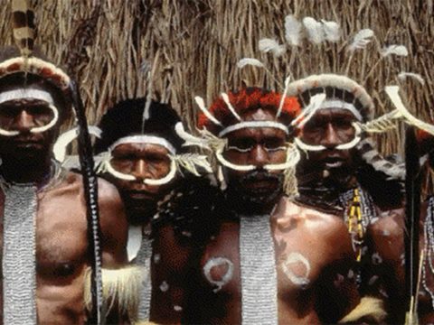tribu