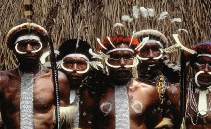 tribu