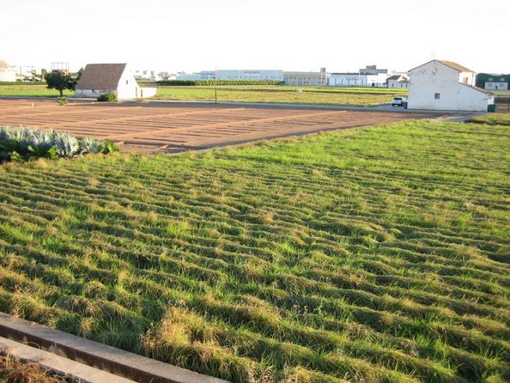horta_alboraya