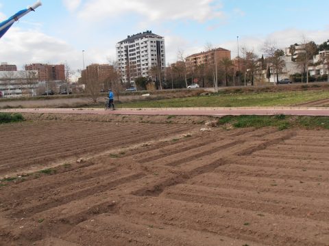 p1010017_horta_periurbana_i_carril_bici_redimensionada