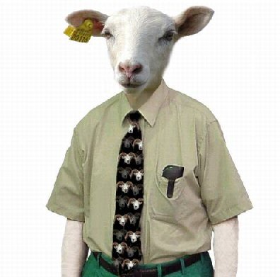 cliente-borrego