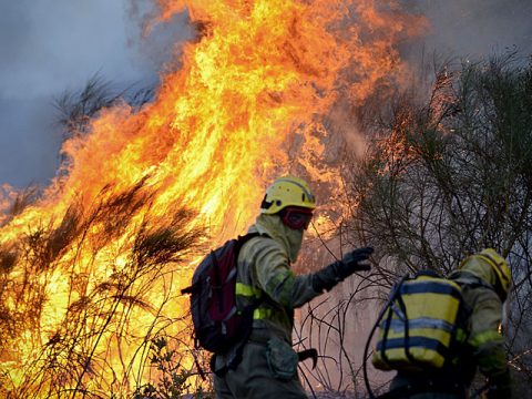incendis_forestals_el_mundo