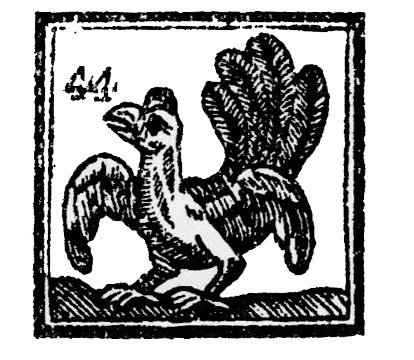 gallina_laborda_25_decembre