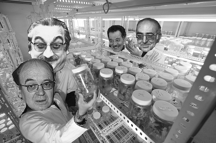 laboratori_fuster_guarner_estelles_valor