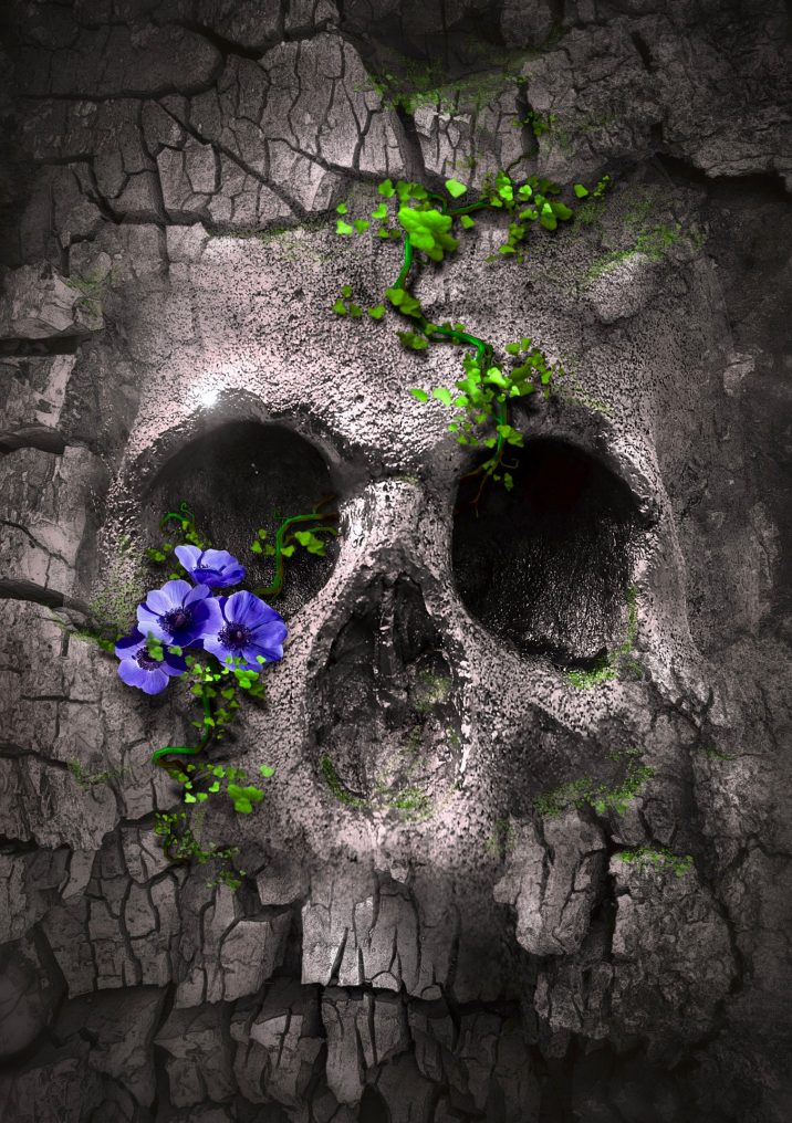 book-cover-4386922_1920_pixabay-stefan_keller