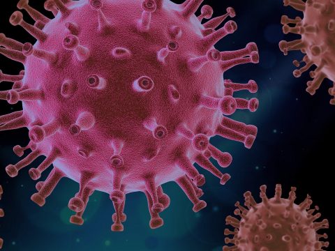 virus-4937553_1920_pixabay-piro4d