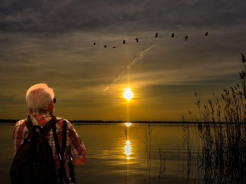 albufera_pixabay-manuel_torres_garcia