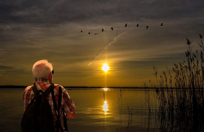 albufera_pixabay-manuel_torres_garcia