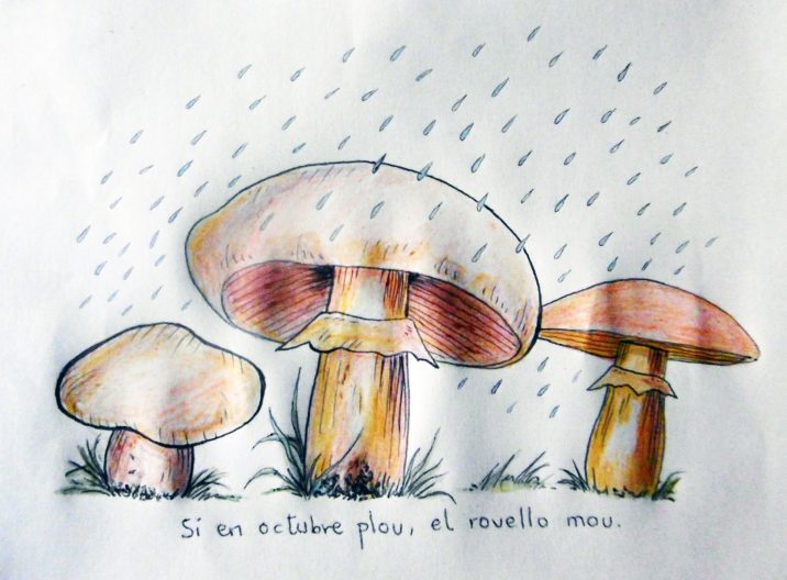 mes_10_octubre_enric_2020