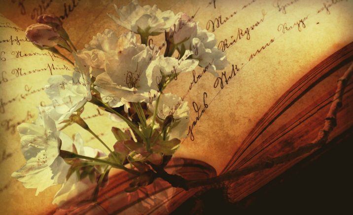 book-2808775_1920_pixabay-cocoparisienne