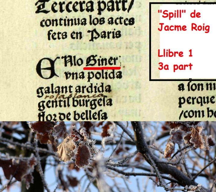 giner_i_roure_articul_manolo_pixabay-alicja