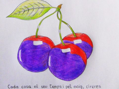mes_5_maig_enric_20201