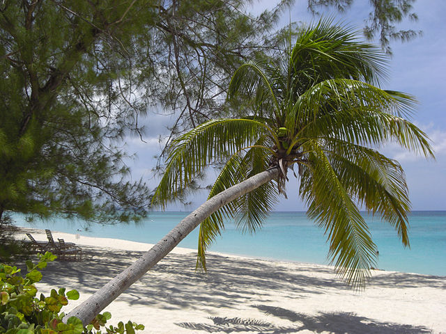 playa_de_gran_caiman-islas_caiman03_wiki-diego_delso