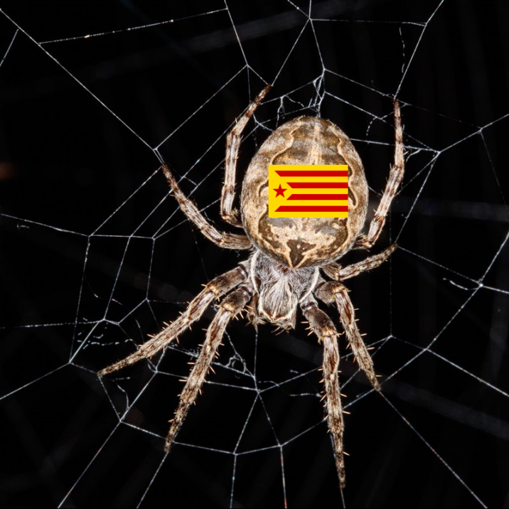 arana_con_bandera