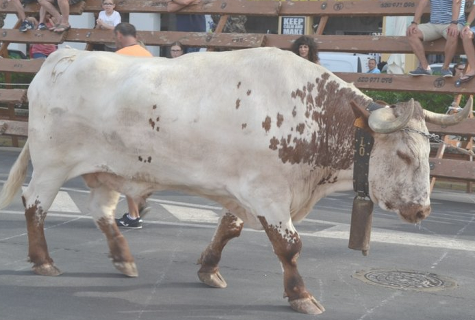 bou