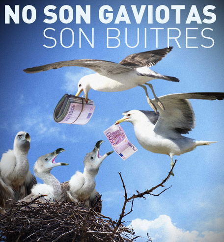 pp_gavines