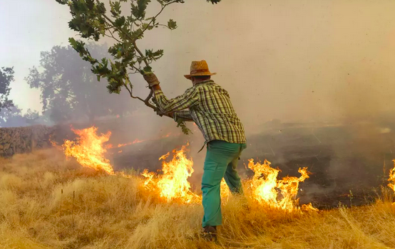 incendis_forestal_4